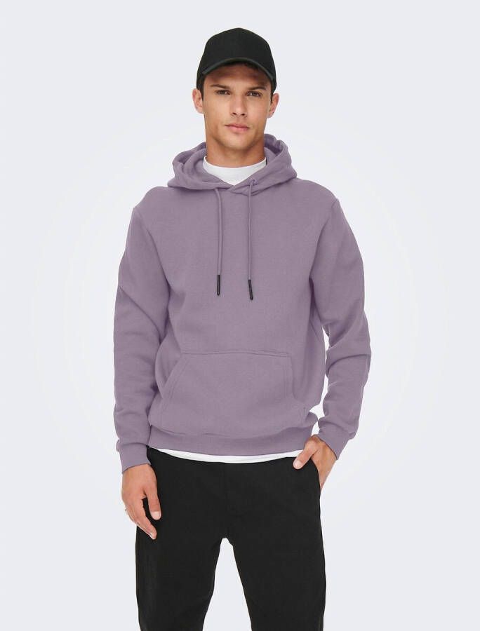 Only & Sons Hoodies & sweatvesten Grijs Heren