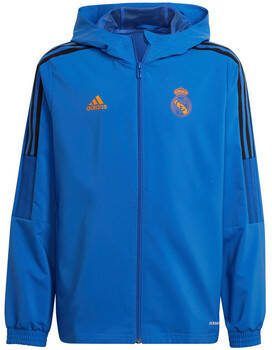 Adidas Blazer