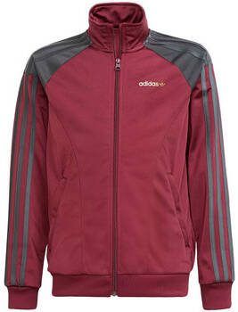 Adidas Blazer