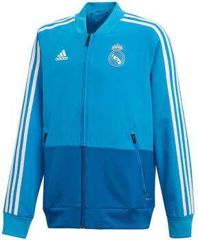 Adidas Blazer