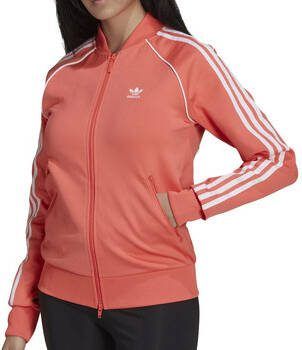 Adidas Blazer