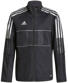 Adidas Blazer