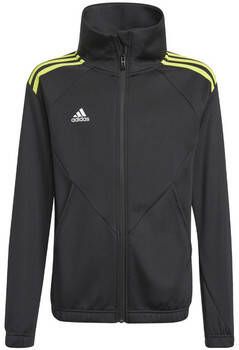 Adidas Blazer