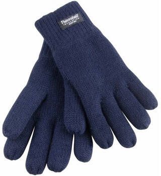 Result Handschoenen R147J