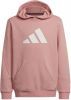 Adidas Future Icons 3Bar Fleece Sweater Met Capuchon Meisjes online kopen