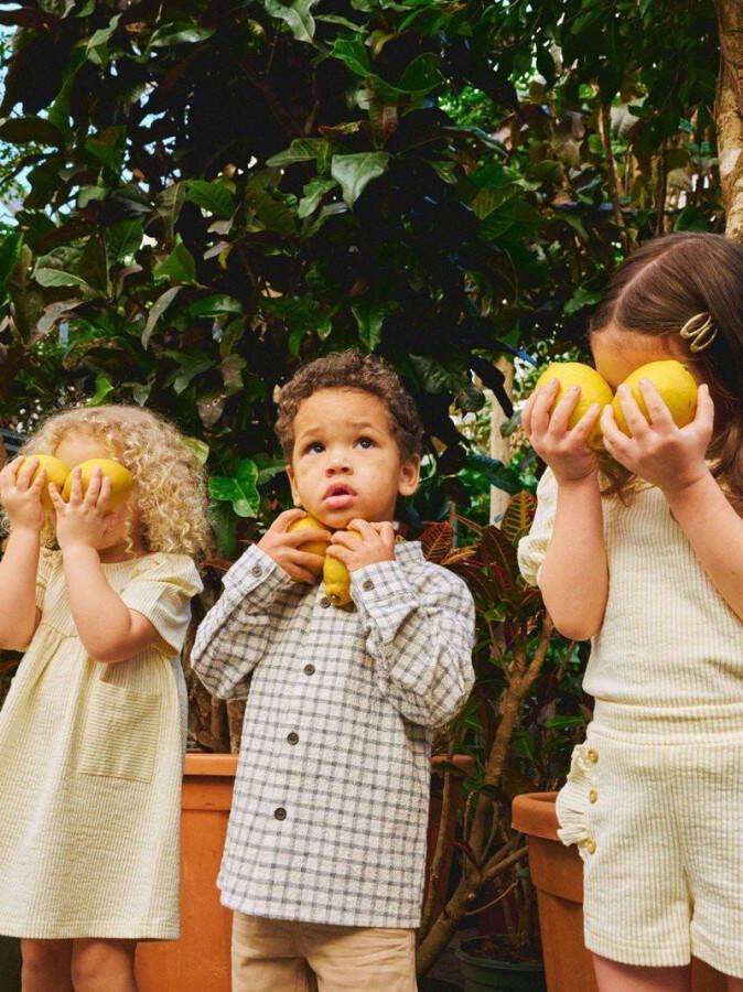 name it Overhemd geruite